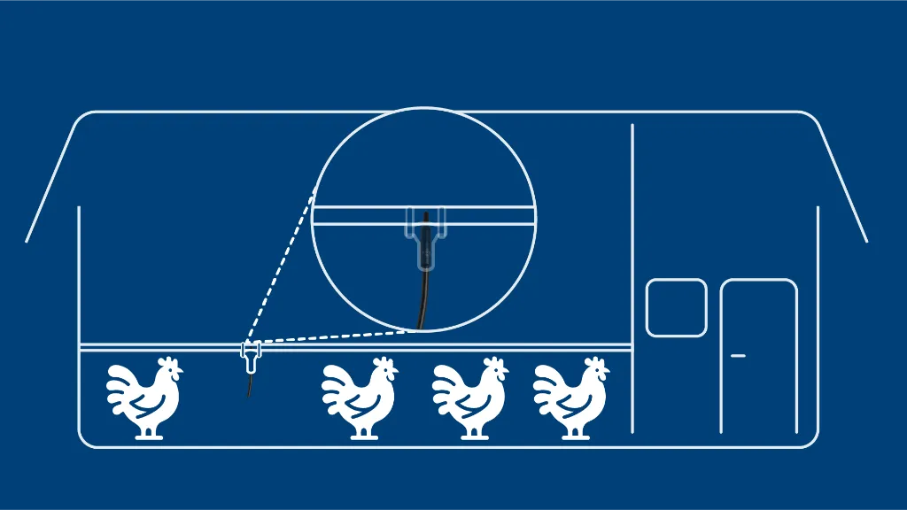 DOL 12 temperature sensor mounting and coverage diagram for poultry houses