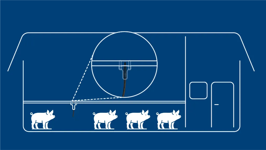 DOL 12 temperature sensor mounting and coverage diagram for swine barns
